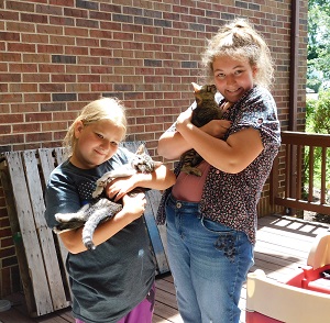 Children Holding Kittens